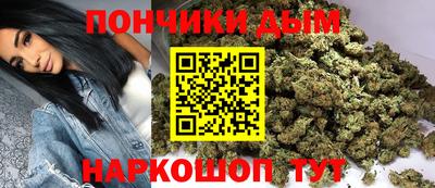 молекула духа Будённовск