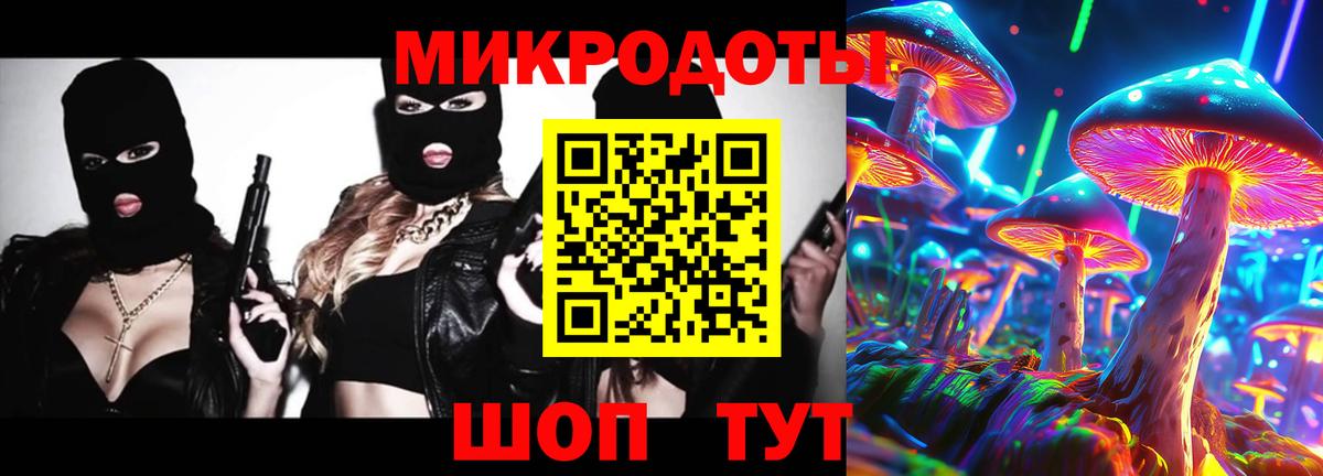 Псилоцибиновые грибы Cubensis Моршанск